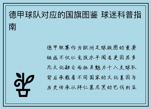 德甲球队对应的国旗图鉴 球迷科普指南